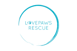 love paws rescue logo