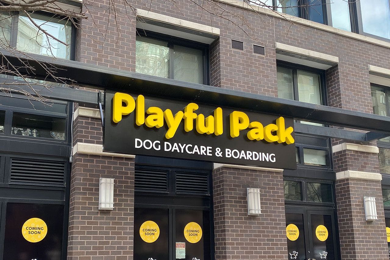 Storefront of playful pack in Arlington, VA